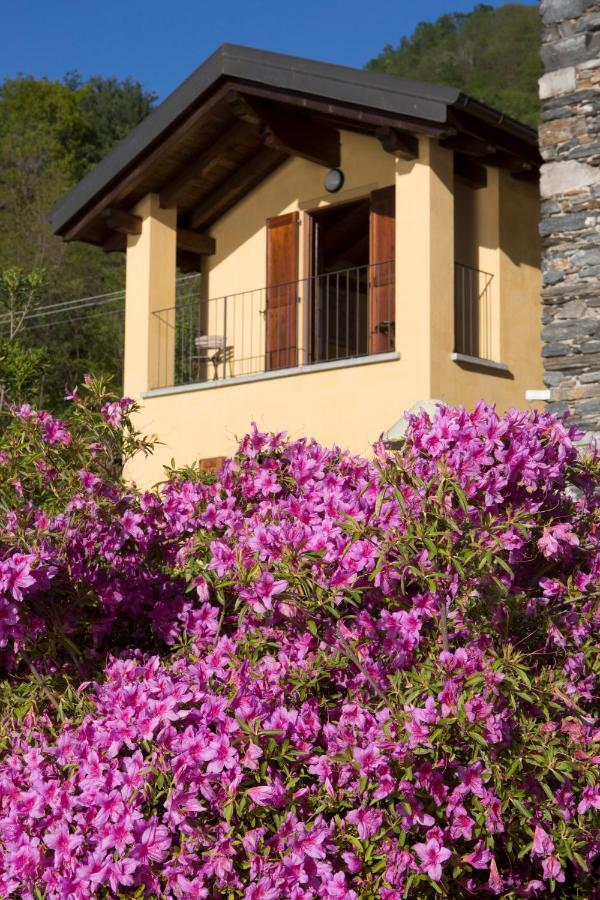 Violina Casa Vacanze Петтенаско Екстер'єр фото